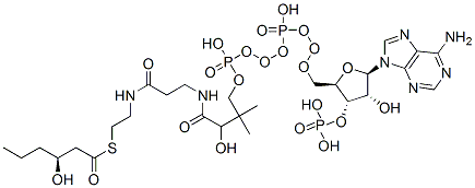 S-[2-[3-[[4-[[[(2R,3S,4R,5R)-5-(6-aminopurin-9-yl)-4-hydroxy-3-phosphonooxyoxolan-2-yl]methoxy-hydroxyphosphoryl]oxy-hydroxyphosphoryl]oxy-2-hydroxy-3,3-dimethylbutanoyl]amino]propanoylamino]ethyl] (3S)-3-hydroxyhexanethioate CAS#: 74875-70-0