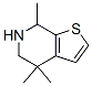 Thieno[2,3-c]pyridine, 4,5,6,7-tetrahydro-4,4,7-trimethyl- (9CI) CAS#: 779280-68-1