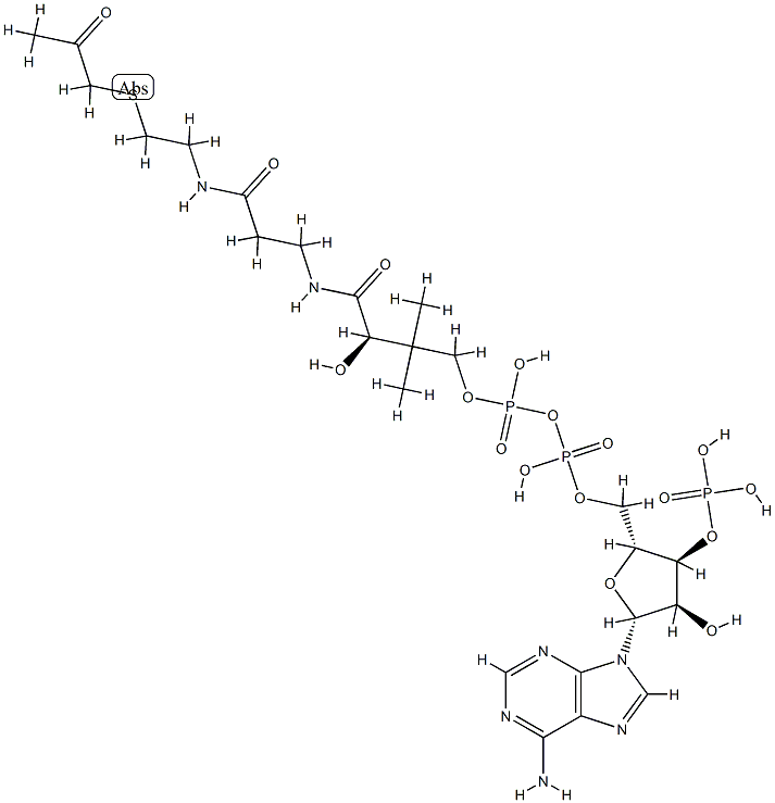 acetonyl-coenzyme A CAS#: 75179-85-0