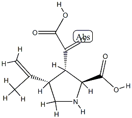 alpha-ketokainic acid CAS#: 75232-58-5