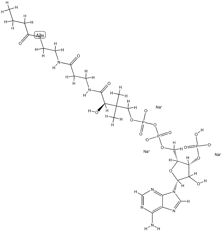 butanoyl CoenzyMe A (sodiuM salt) CAS#: 799812-79-6