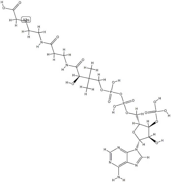 carboxymethyl-coenzyme A CAS#: 79955-48-9