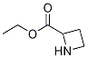 ethyl azetidine-2-carboxylate CAS#: 766483-76-5