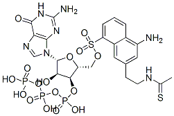 guanosine-5'-O-(3-thio-(acetylaminoethyl)-1-naphthylamine-5-sulfonic acid)triphosphate CAS#: 76709-18-7