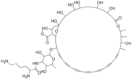 methyl (19E,21E,23E,25E,27E,29E,31E)-33-[4-(2,6-diaminohexanoylamino)- 3,5-dihydroxy-6-methyl-oxan-2-yl]oxy-1,3,5,6,9,11,17,37-octahydroxy-15 ,16,18-trimethyl-13-oxo-14,39-dioxabicyclo[33.3.1]nonatriaconta-19,21, 23,25,27,29,31-heptaene-36-carboxylate CAS#: 76023-48-8