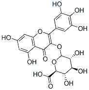 myricetin 3-O-glucuronide CAS#: 77363-65-6