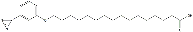 omega-(3-diazirinophenoxy)hexadecanoic acid CAS#: 78112-02-4