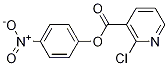 p-Nitrophenyl 2-chloronicotinate CAS#: 76980-32-0