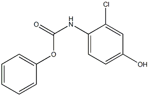 phenyl 2-chloro-4-hydroxyphenylcarbaMate CAS#: 796848-80-1