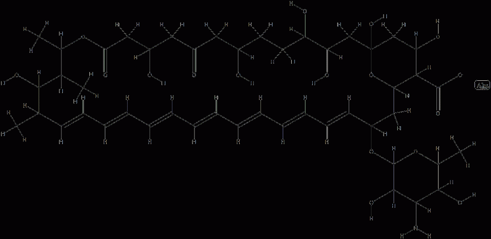 sodium (19E,21E,23E,25E,27E,29E,31E)-33-(4-amino-3,5-dihydroxy-6-methy l-oxan-2-yl)oxy-1,3,4,7,11,17,37-heptahydroxy-15,16,18-trimethyl-9,13- dioxo-14,39-dioxabicyclo[33.3.1]nonatriaconta-19,21,23,25,27,29,31-hep taene-36-carboxylate CAS#: 75442-91-0