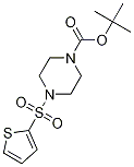 tert-Butyl 4-(thiophen-2-ylsulfonyl)piperazine-1-carboxylate CAS#: 774575-85-8