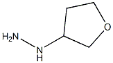 (tetrahydro-3-furanyl)Hydrazine CAS#: 773822-87-0