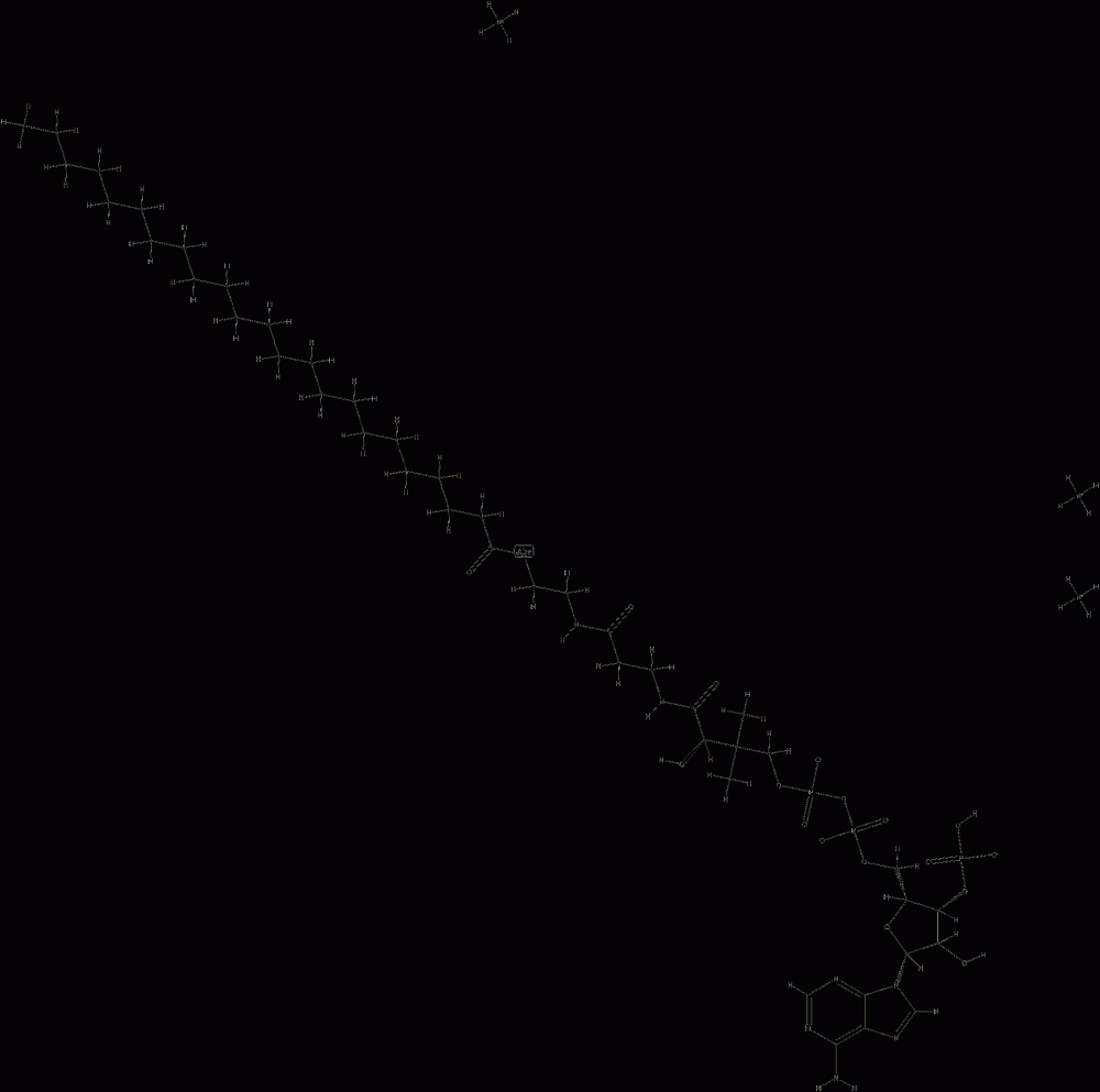 tricosanoyl CoenzyMe A (aMMoniuM salt) CAS#: 799812-97-8