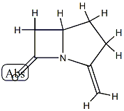 1-Azabicyclo[3.2.0]heptan-7-one,2-methylene-(9CI) CAS#: 83890-10-2