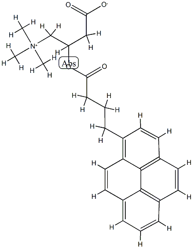 (1-Pyrenebutyryl)carnitine CAS#: 81923-90-2