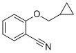 2-(CYCLOPROPYLMETHOXY)BENZONITRILE CAS#: 83728-40-9