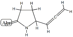 2-Pyrrolidinone,5-(1,2-propadienyl)-(9CI) CAS#: 89017-55-0