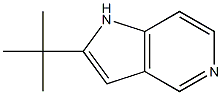 2-(tert-Butyl)-1H-pyrrolo[3,2-c]pyridine CAS#: 86847-76-9