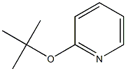 2-(tert-butoxy)pyridine CAS#: 83766-88-5