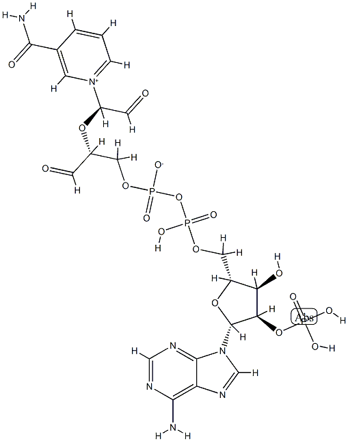 2',3'-dialdehyde NADP CAS#: 87075-47-6
