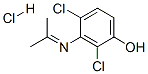 2,4-dichloro-3-[(1-methylethylidene)amino]phenol hydrochloride CAS#: 80445-29-0