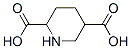 2,5-piperidinedicarboxylic acid CAS#: 84619-48-7