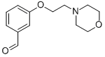 3-(2-MORPHOLIN-4-YLETHOXY)BENZALDEHYDE CAS#: 81068-26-0