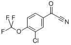 (3-CHLORO-4-TRIFLUOROMETHOXY-PHENYL)-OXO-ACETONITRILE CAS#: 80277-44-7