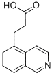 3-(ISOQUINOLIN-5-YL)PROPIONIC ACID CAS#: 87087-28-3