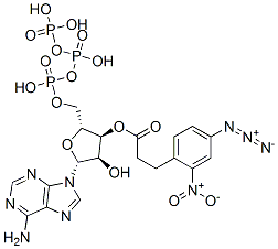 3'-O-(3-(2-nitro-4-azidophenyl)propionyl)adenosine triphosphate CAS#: 80220-04-8