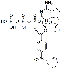 3'-O-(4-benzoyl)benzoyladenosine 5'-triphosphate CAS#: 81790-82-1