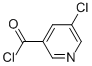 3-Pyridinecarbonyl chloride, 5-chloro- (9CI) CAS#: 85320-79-2