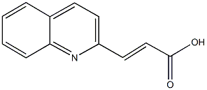 3-QUINOLIN-2-YL-ACRYLIC ACID CAS#: 81124-50-7