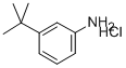 3-TERT-BUTYLANILINE HCL CAS#: 83672-23-5