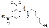 3-nitro-4-(6-aminohexylamido)phenylboronic acid CAS#: 80500-29-4