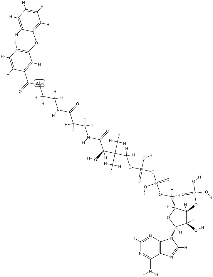 3-phenoxybenzoyl-coenzyme A CAS#: 81424-65-9