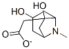 3,6-Dihydroxy-8-methyl-8-azabicyclo[3.2.1]octane-6-acetate CAS#: 85644-59-3