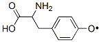 4-(2-Amino-2-carboxyethyl)phenoxyradical CAS#: 81373-19-5