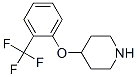 4-[2-(Trifluoromethyl)phenoxy]piperidine CAS#: 824390-04-7