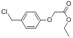 (4-CHLOROMETHYL-PHENOXY)-ACETIC ACID ETHYL ESTER CAS#: 80494-75-3