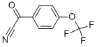 4-(TRIFLUOROMETHOXY)BENZOYL CYANIDE CAS#: 80277-36-7
