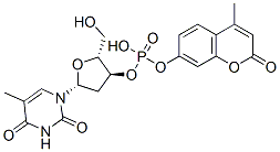 4-methylumbelliferyl thymidine 3'-phosphate CAS#: 80180-69-4