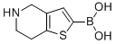 4,5,6,7-TETRAHYDROTHIENO[3,2-C]PYRIDIN-2-YL BORONIC ACID CAS#: 83611-96-5