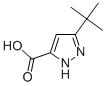5-TERT-BUTYL-2H-PYRAZOLE-3-CARBOXYLIC ACID CAS#: 83405-71-4