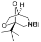 5-t-Butyl-6,8-dioxa-3-azabicyclo(3.2.1)octane hydrochloride CAS#: 84508-88-3