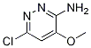 6-Chloro-4-Methoxy-pyridazin-3-ylaMine CAS#: 808770-39-0