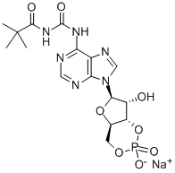 6-MBC-CAMP SODIUM SALT CAS#: 84433-46-5