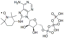 8-(2,2,6,6-tetramethylpiperidin-4-yl-1-oxyl)amino-adenosine triphosphate CAS#: 80538-64-3