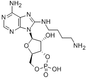8-(4-AMINOBUTYL) AMINOADENOSINE-3',5'-CYCLIC MONOPHOSPHATE CAS#: 82927-68-2