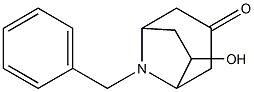 8-Azabicyclo[3.2.1]octan-3-one, 6-hydroxy-8-(phenylMethyl)- CAS#: 88876-49-7
